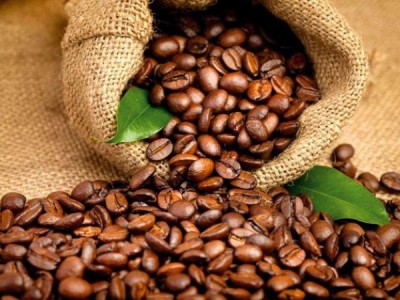 Характеристика и особенности африканского кофе