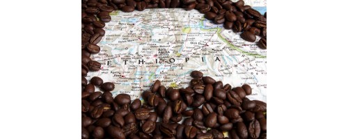 Путешествие в мир кофе (ЭФИОПИЯ)