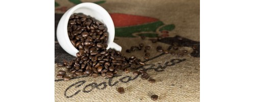 Кофе Коста-Рика – «Напиток Богов»